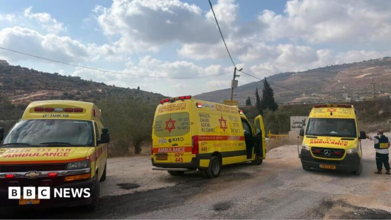 Four Palestinians and two Israelis killed in West Bank shooting