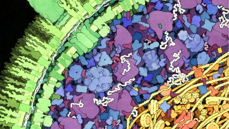 Scientists Discover a Bizarre New Way Life Can Make DNA… Without DNA