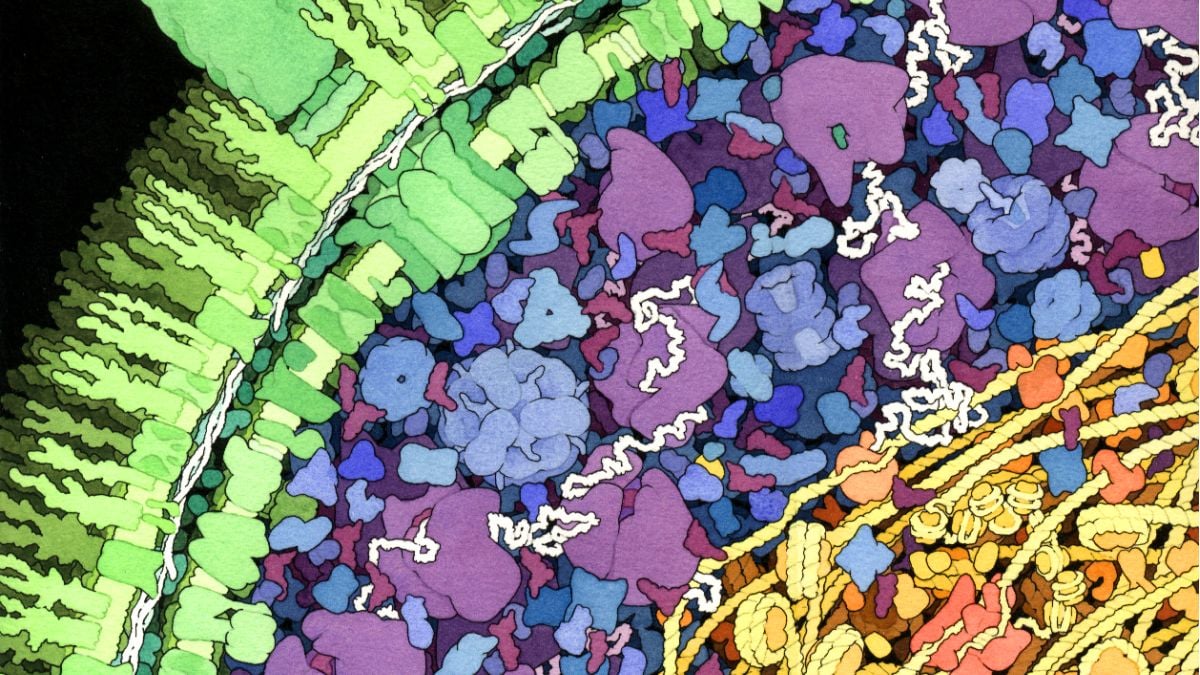 Scientists Discover a Bizarre New Way Life Can Make DNA… Without DNA