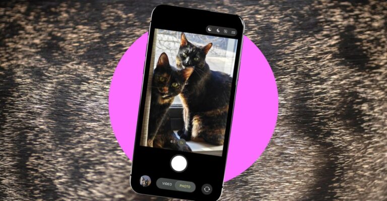 How to take better photos of your pets