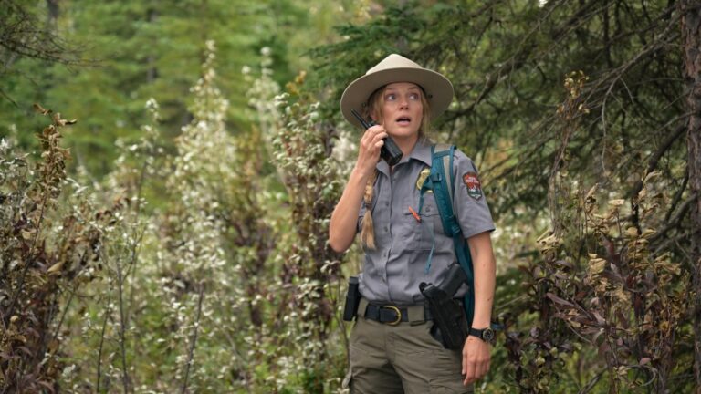 USA Network’s ‘Anna Pigeon’ Is the Temu Version of ‘Virgin River’: TV Review