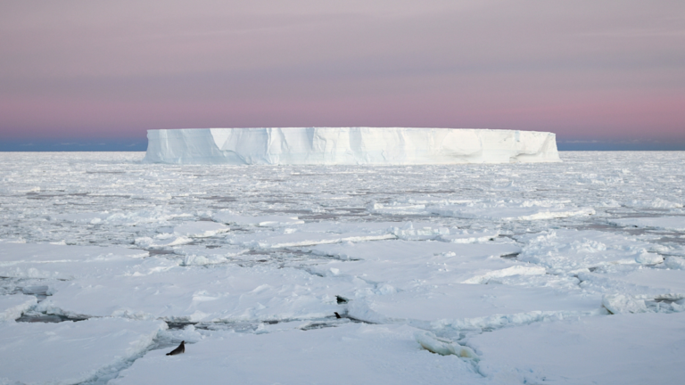 <div>Ancient Microorganisms Discovered Inside One of Antarctica's Most Inhospitable Landmarks</div>