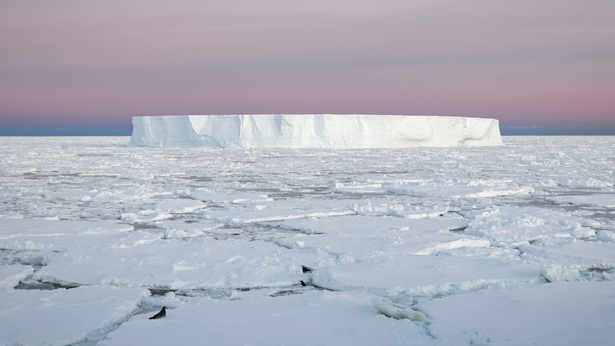<div>Ancient Microorganisms Discovered Inside One of Antarctica's Most Inhospitable Landmarks</div>