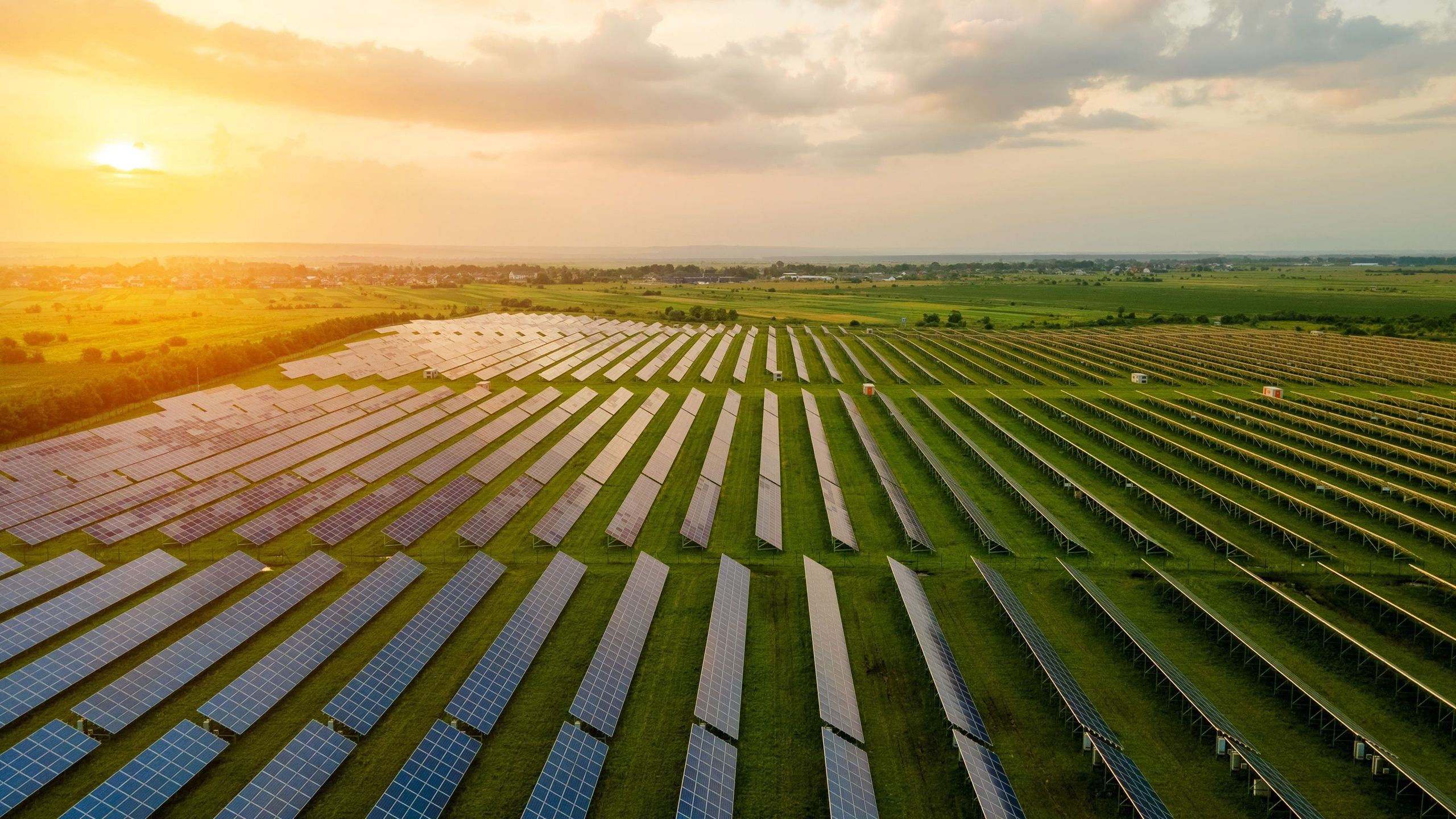 Planting crops in fields of solar panels is more efficient, protects the plants and helps keep workers cool, study finds