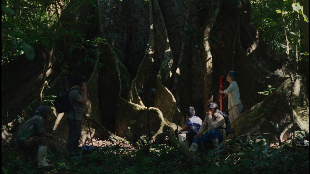 ‘Far From the Trees’ Review: A Richly Contemplative Journey of Physical and Mental Meanderings, Beautifully Combining 4K Digital with Super 16