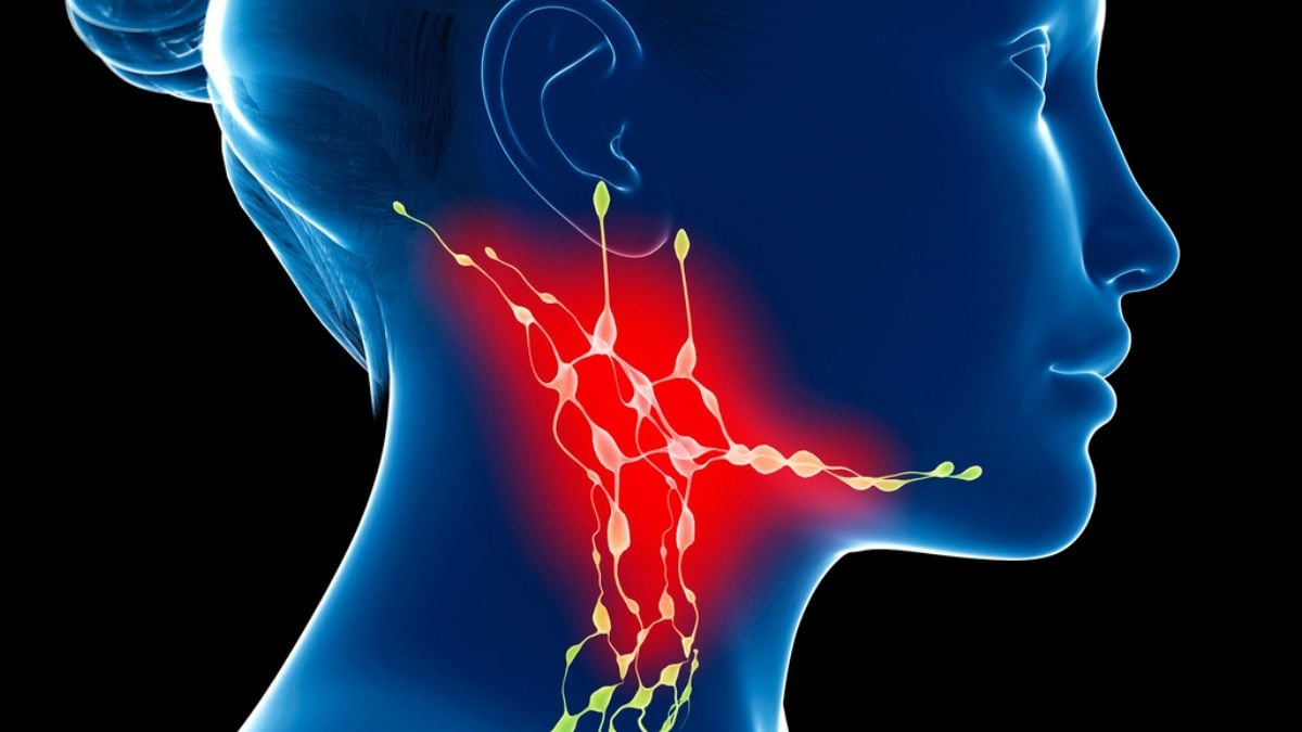 The Lymph Nodes in Your Neck Could Influence How Your Brain Ages