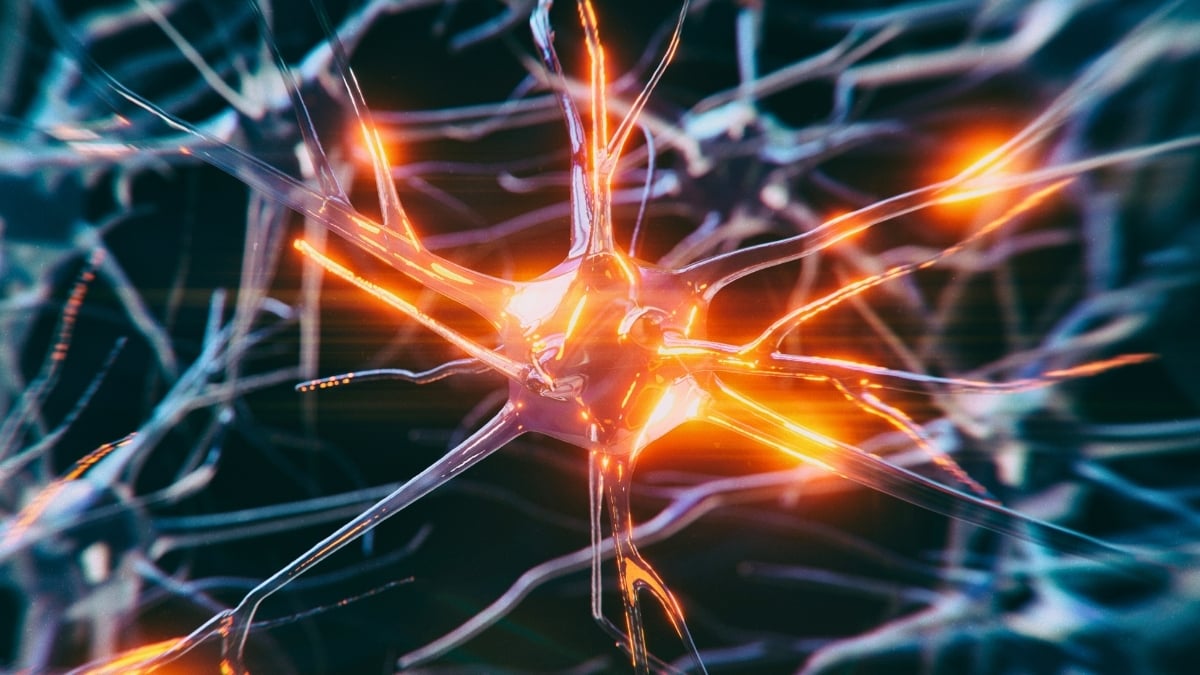 Scientists Reverse Alzheimer's Damage in Mice With Just Two Injections