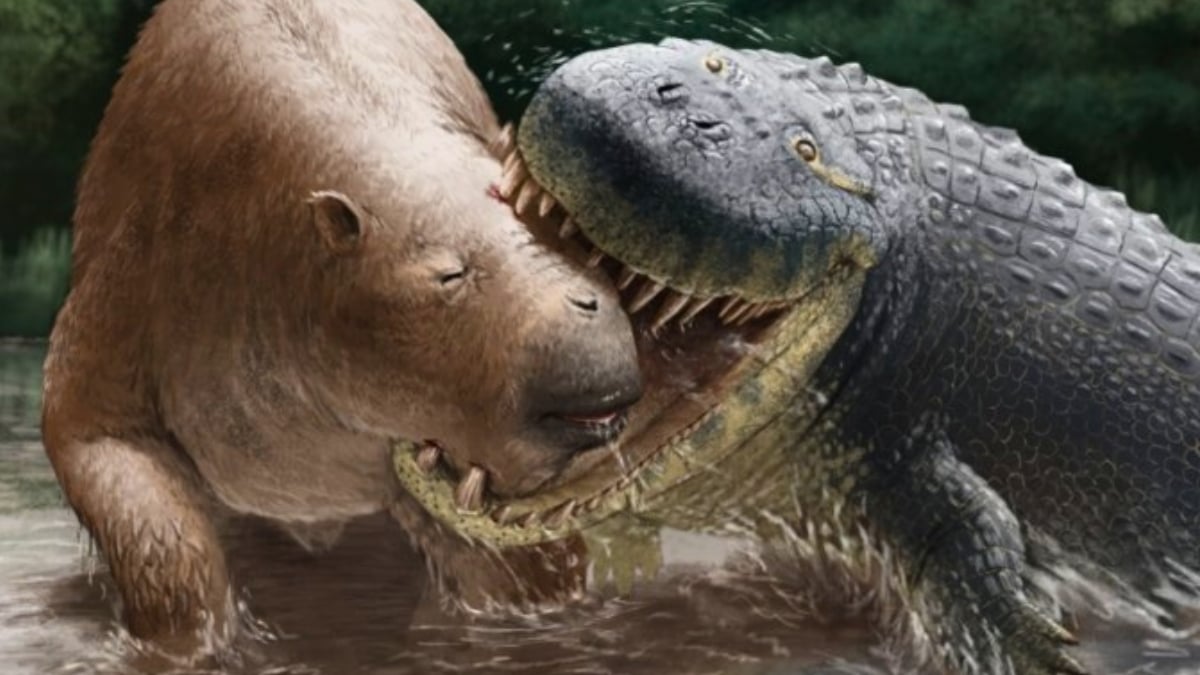 This Giant Crocodile Relative Weighed as Much as a Car And Preyed on Rhino-Sized Mammals