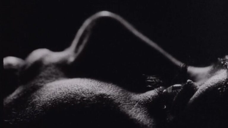 Motherhood Horror Film ‘Vagina Dentata,’ ‘From The Eclipse’ Director Nataša Urban, Boarded by Romanian Partner Manifest Film (EXCLUSIVE)