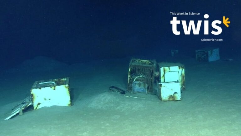 This Week in Science: Ocean 'Backrooms', Plastic Cookies, And More!