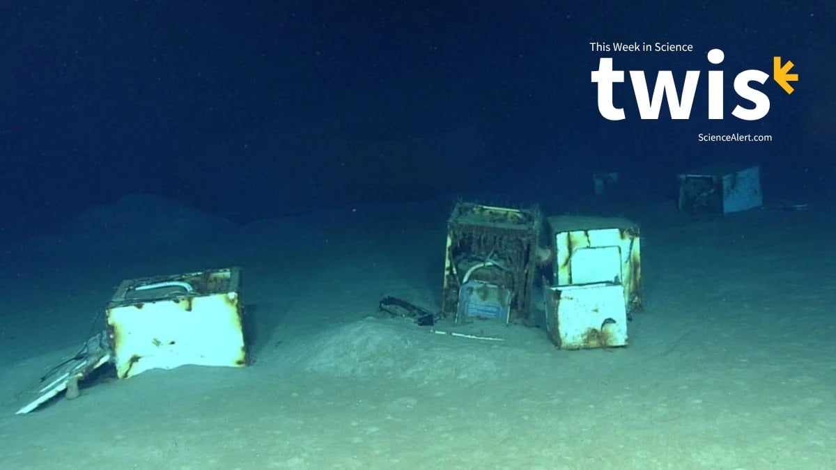This Week in Science: Ocean 'Backrooms', Plastic Cookies, And More!