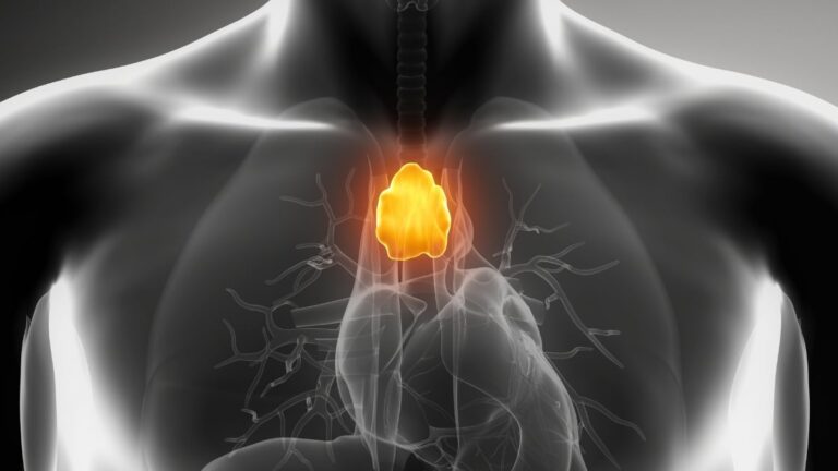 This Tiny Organ Plays a Far More Profound Role in Human Longevity Than We Realized, Study Finds