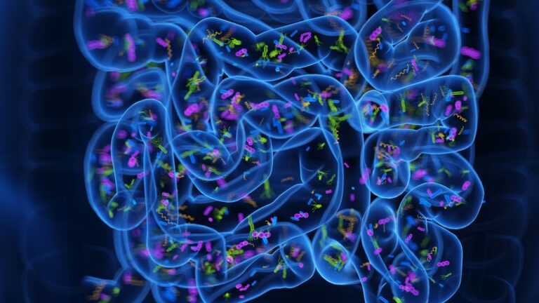 <div>'Poop pills' may ease insomnia by reprogramming the gut microbiome, early study hints</div>