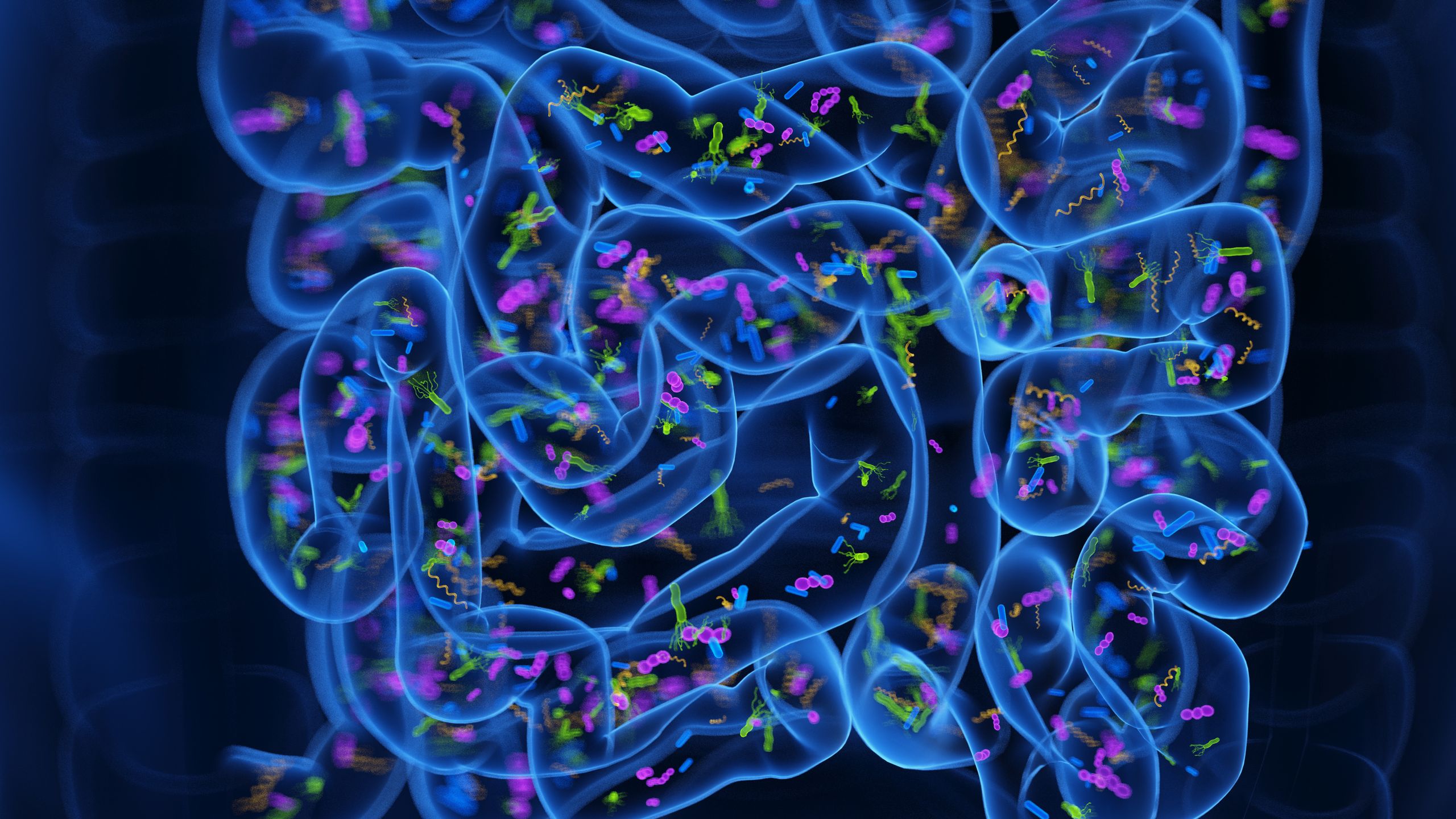 <div>'Poop pills' may ease insomnia by reprogramming the gut microbiome, early study hints</div>