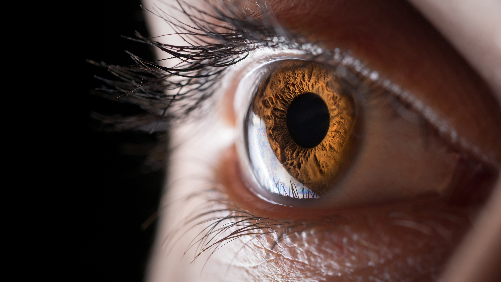 Meet the scientists 3D printing corneas to restore people's vision, potentially filling a worldwide shortage of transplantable tissue