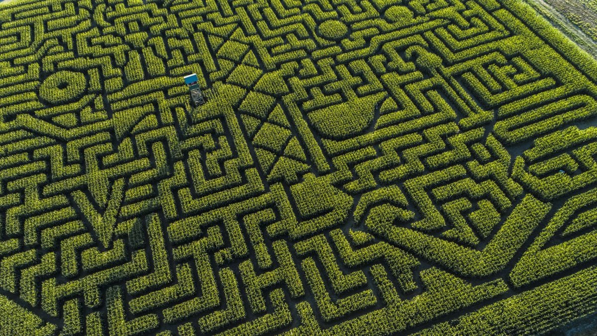 GPS Glitched Across The US by as Much as 33 Feet. Scientists Have Never Seen This Before.