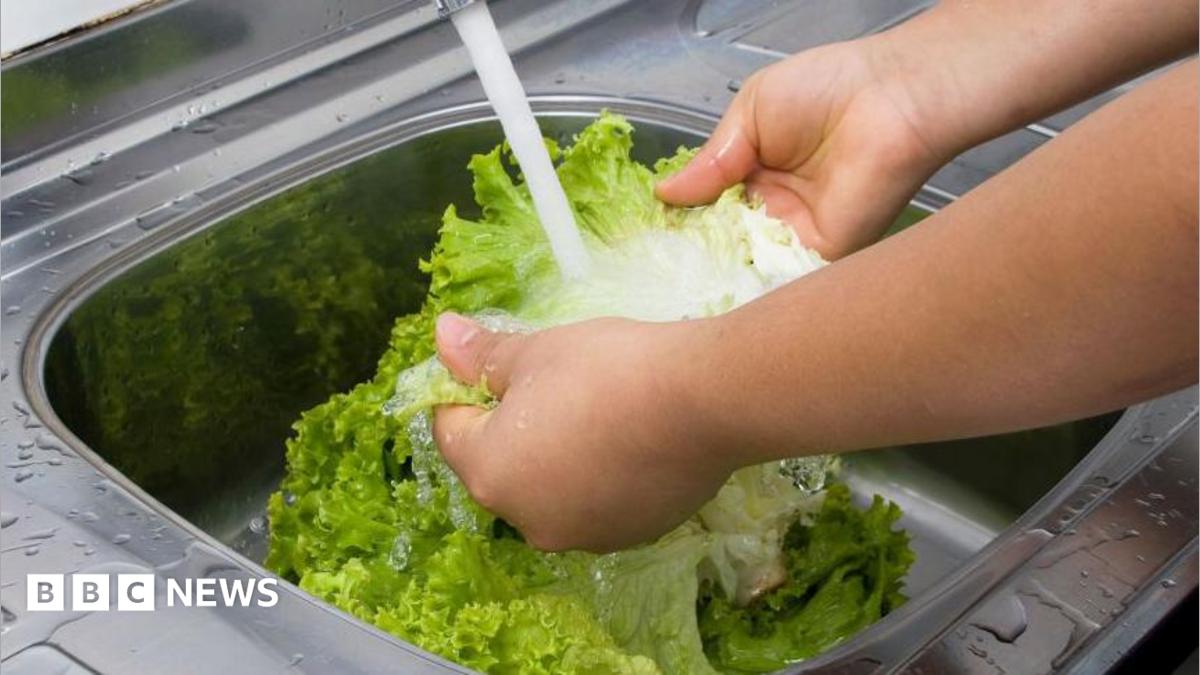 <div>US reports first two deaths linked to  'explosive diarrhoea' outbreak</div>