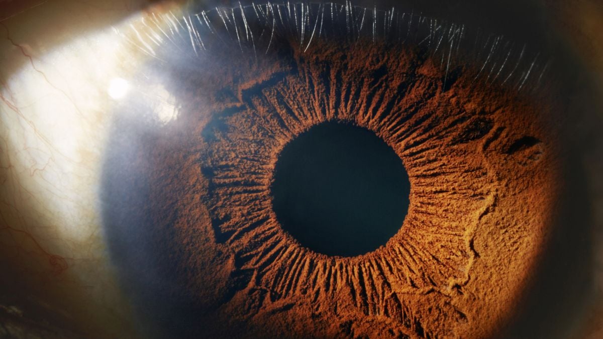 World First: Mitochondria From a Woman's Leg Were Injected Into Her Eyes