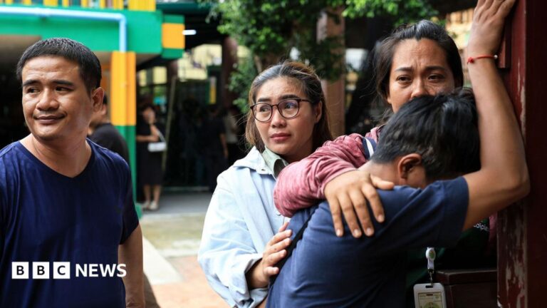 Seven killed after teen shooter opens fire at home and school in Thailand