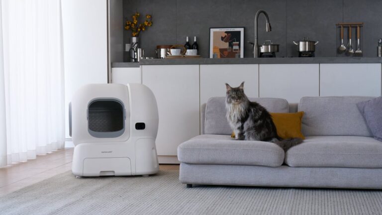 Your giant cat finally has a litter box that fits — HomerunPet has dropped a smart litter box for chonks