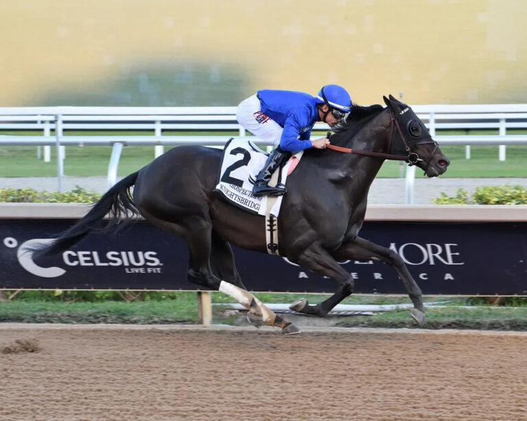 Pacific Classic Offers Breeders’ Cup Berth And $1 Million Purse