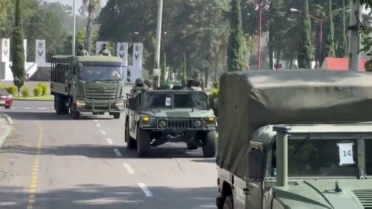 Mexico deploys troops to secure avocado region after US halts imports