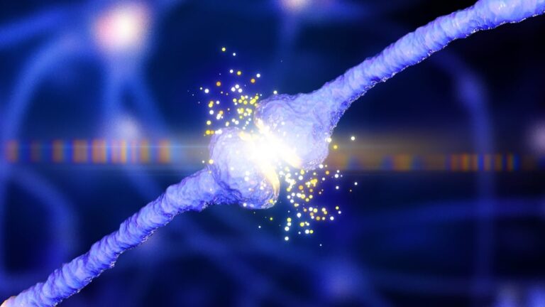 Scientists May Have Found The Exact Brain Cells Crucial For Sustaining Motivation