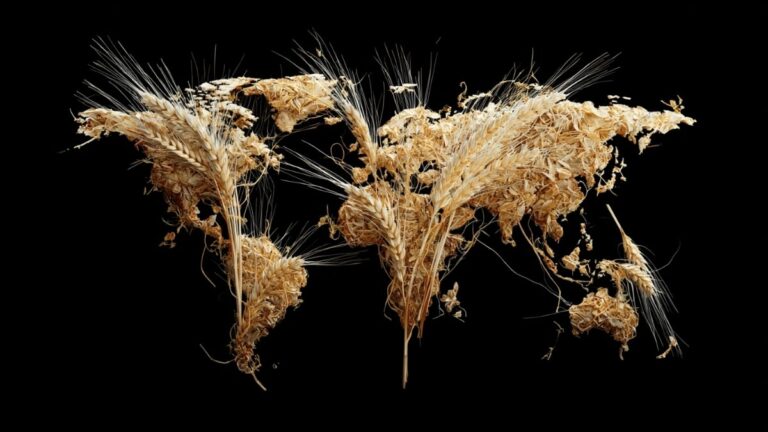 Of 30 Global Food Goals, We're on Track to Hit Just One