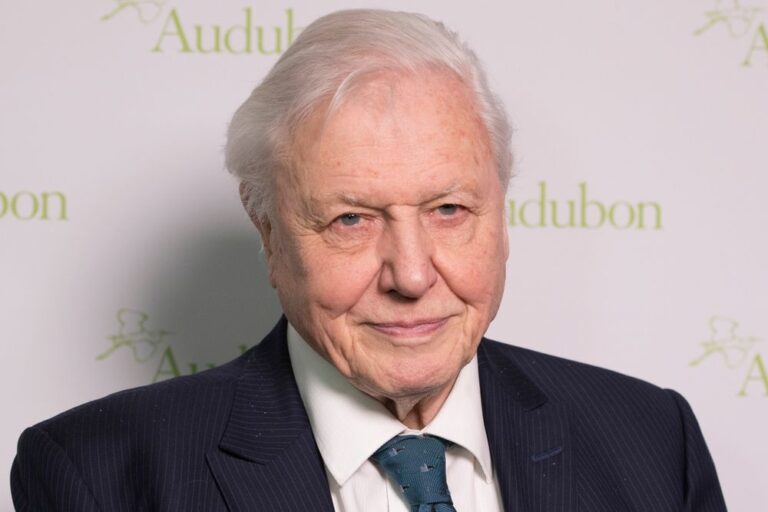 Stream the entire BBC iPlayer Attenborough collection anywhere with this top-rated VPN deal