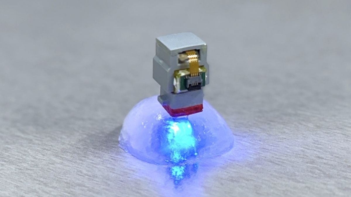 A Brain Implant in Korea Was Just Controlled From The US