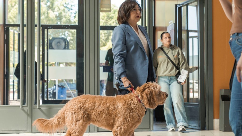 Serielizados Unveils Lineup with ‘Celeste’ Season 2, Hagai Levi, Diane Morgan and the Sánchez-Cabezudo Brothers Series in Competition (EXCLUSIVE)