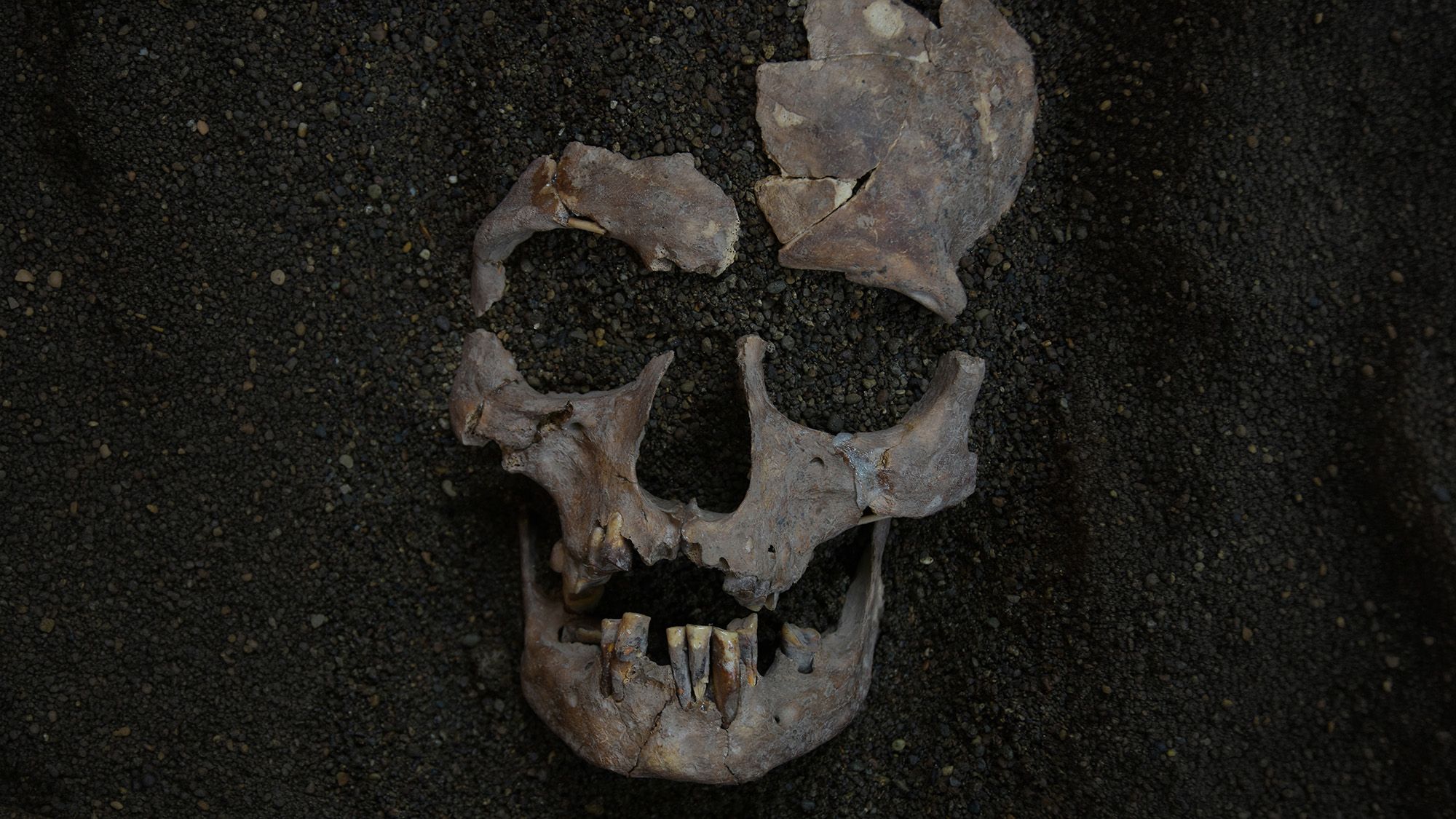 World's oldest evidence of habitual drug use traced back 25,000 years to Indonesia