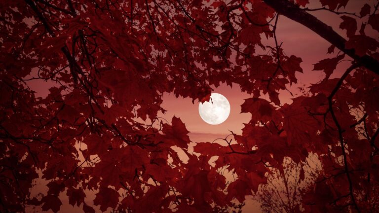 Fall stargazing 2026: The best skywatching sights in autumn (and how to see them)
