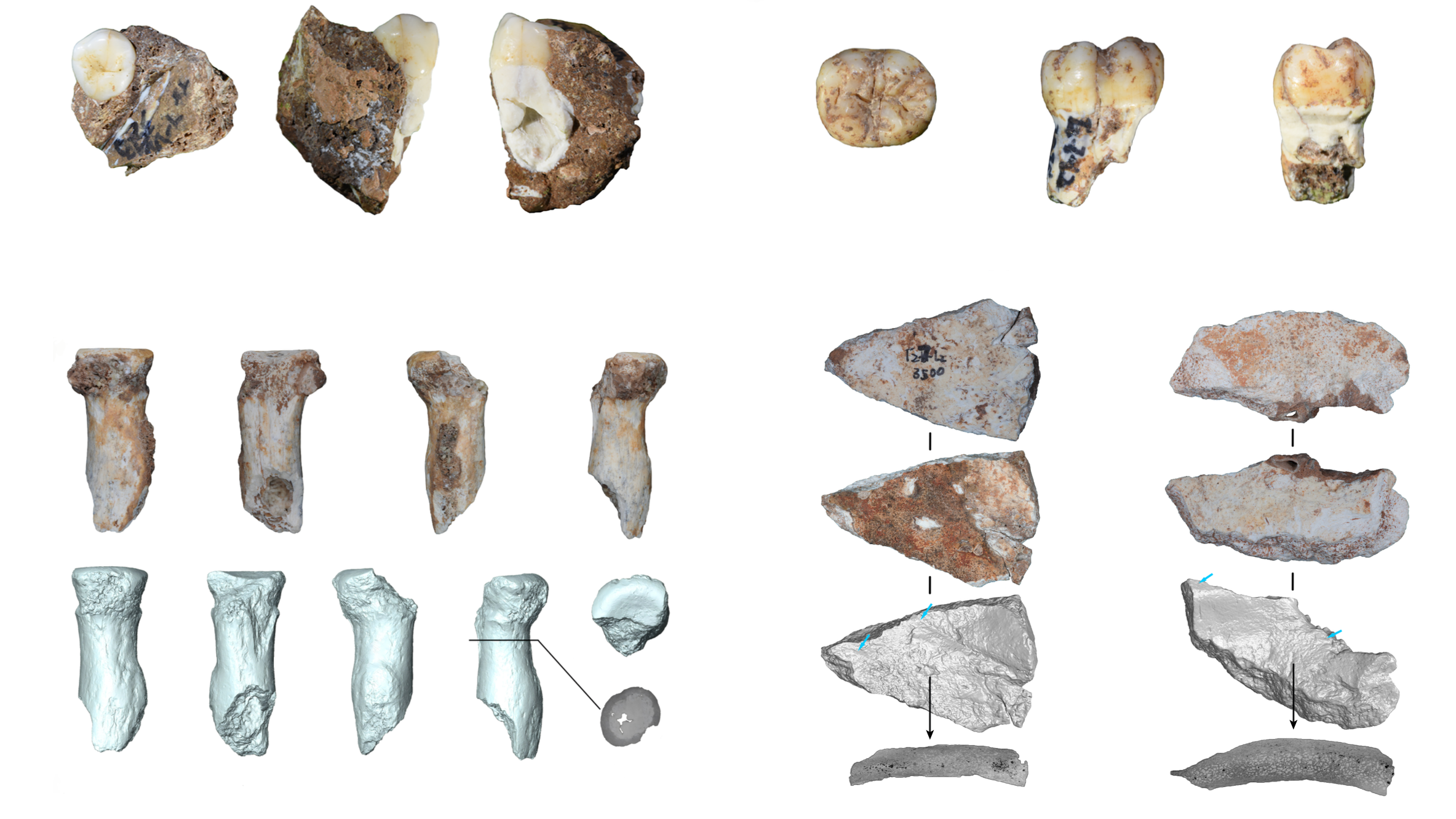 Enigmatic Denisovans lived by cave in what is now China for 100,000 years, rare fossils and handcrafted tools reveal