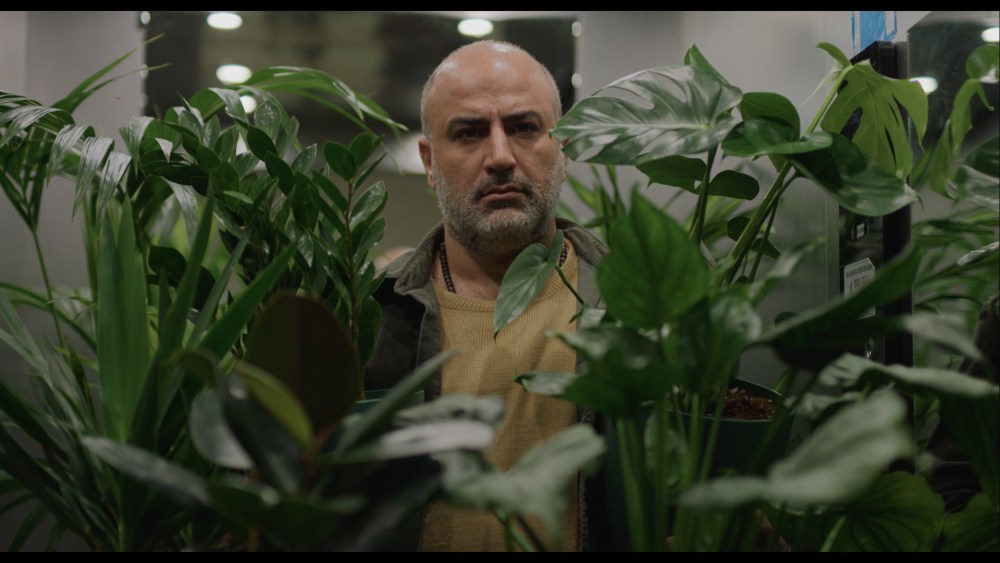 Impact of War in Iran Set to Feature in Two Venice Film Festival Dramas