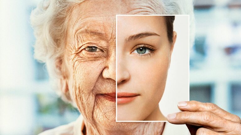 Blocking One Immune Signal Reversed Signs of Aging in Mice