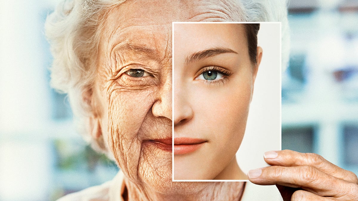 Blocking One Immune Signal Reversed Signs of Aging in Mice