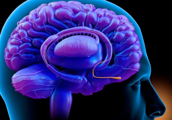 Scientists Identify a Nose-to-Brain Circuit That Links Anxiety And Breathing