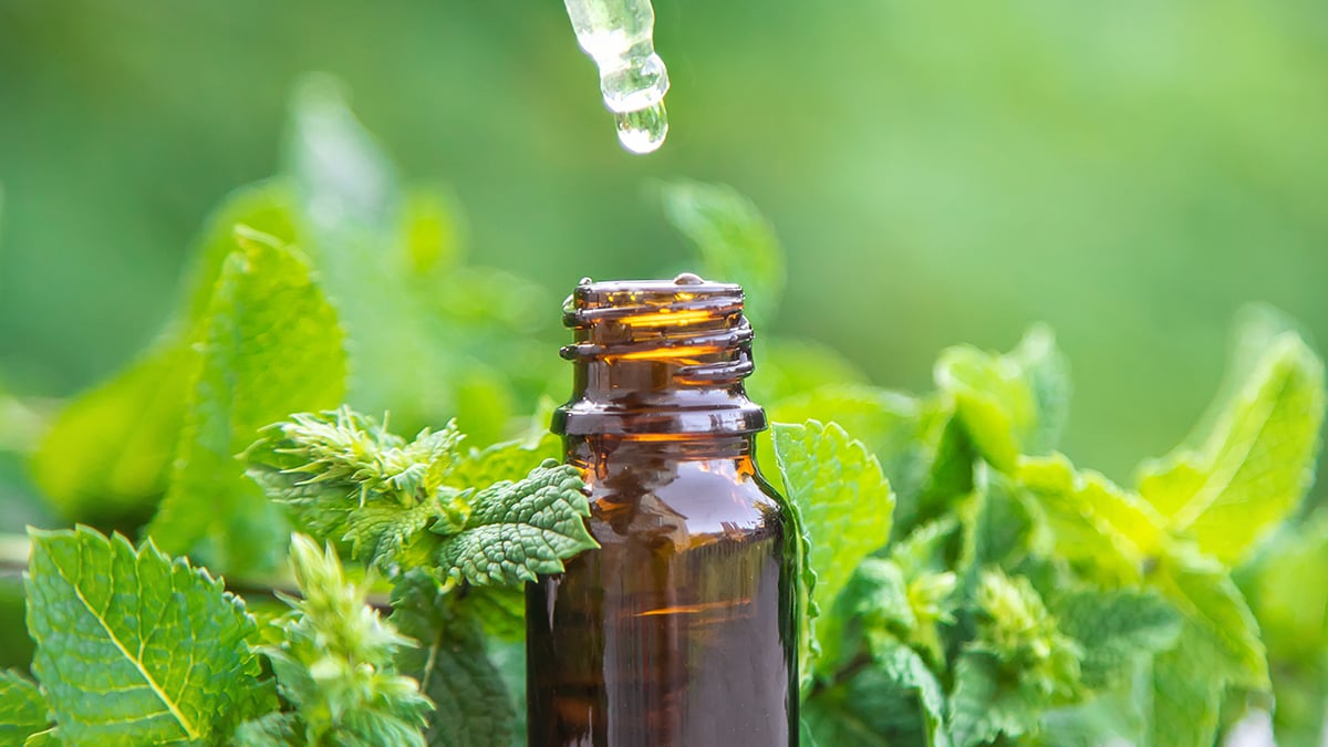 Peppermint Oil Lowered Blood Pressure by 8 Points in Just 20 Days, Trial Finds