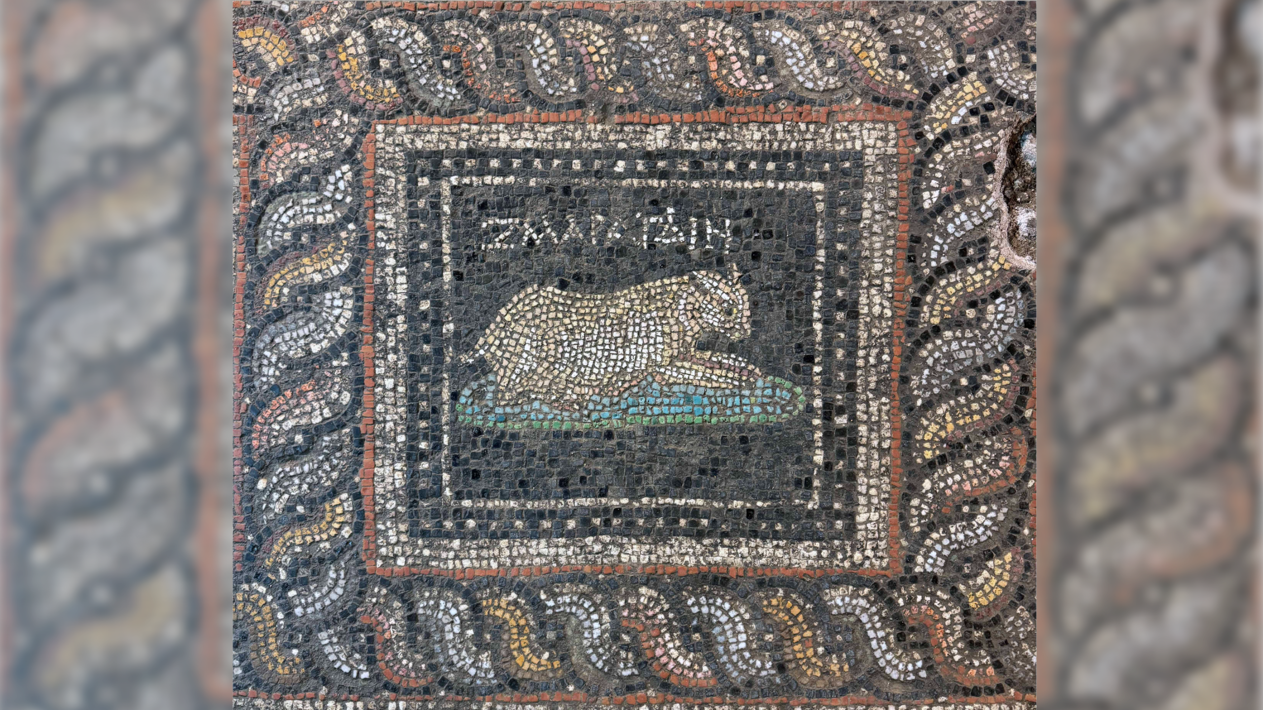 Stunning Roman-era mosaic discovered in Turkey features 'Emerald' the cat and 'Ocean' the dog