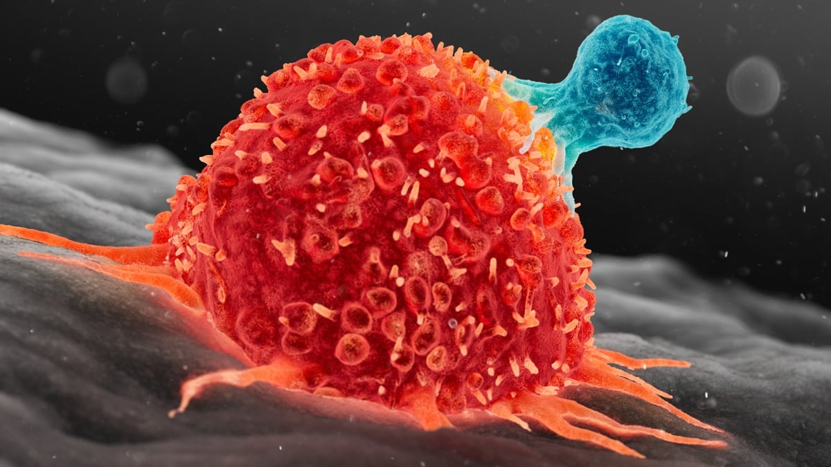 A 3-Year-Old's Metastatic Cancer Disappeared After Two Doses of Experimental Therapy