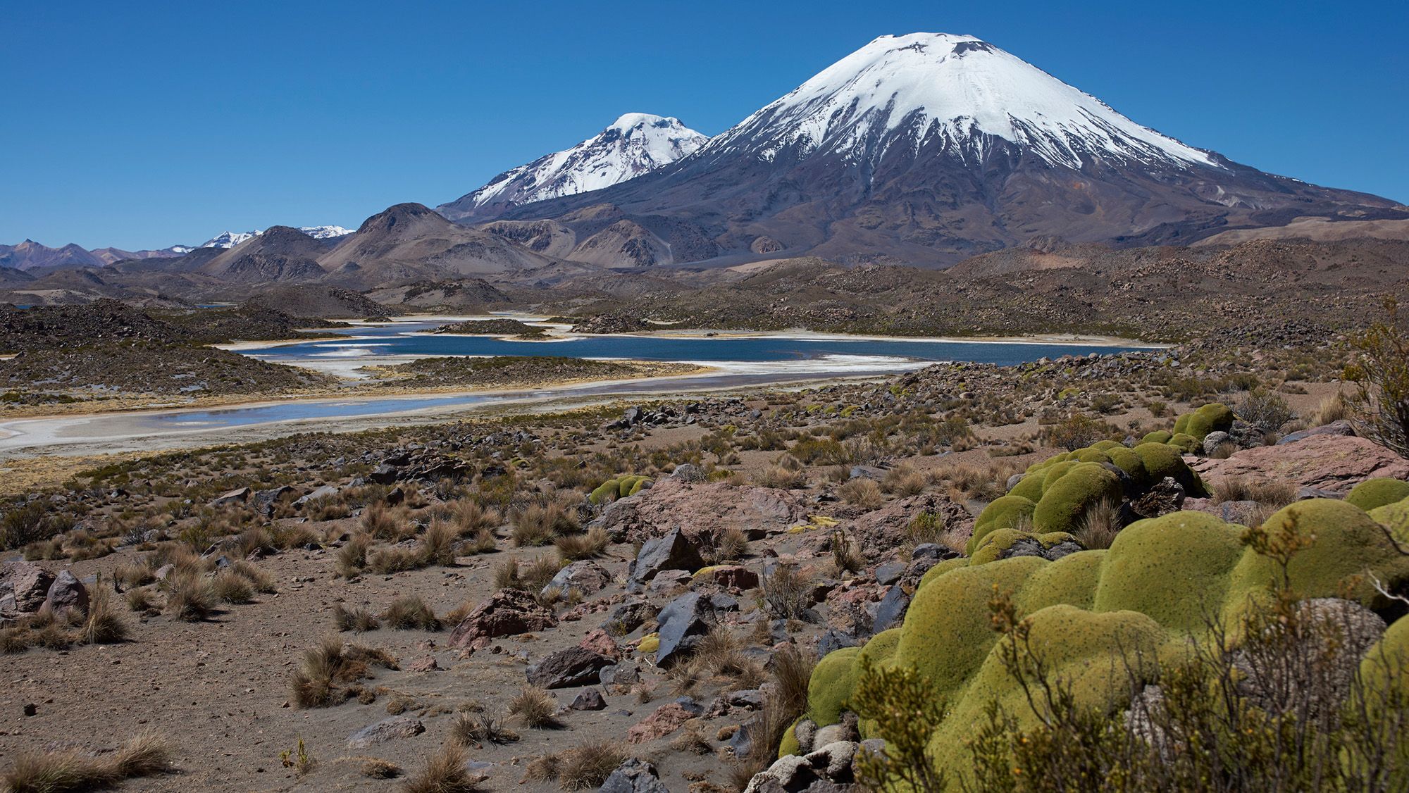 South American 'Pompeii': Volcanic eruption 22 million years ago preserved a snapshot of the Andes forming