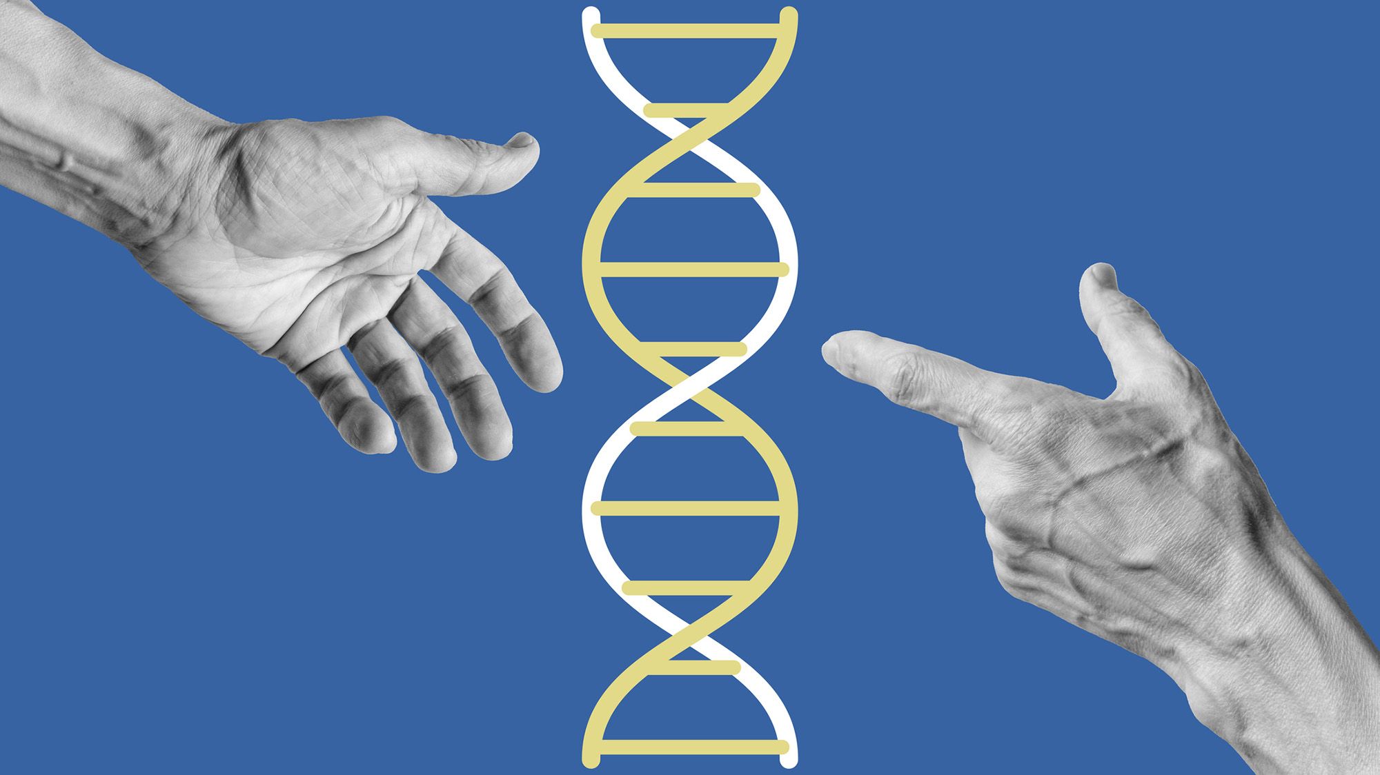 Author Lise Barnéoud on the bizarre and provoking world of microchimerism — when cells from one person live in another, genetically distinct individual