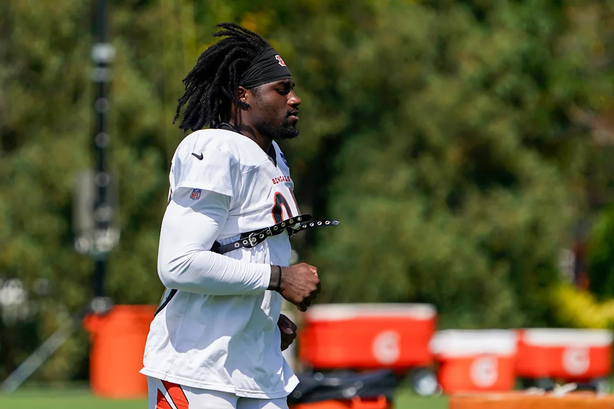 What does Shemar Stewart's role look like for Bengals? Al Golden explains
