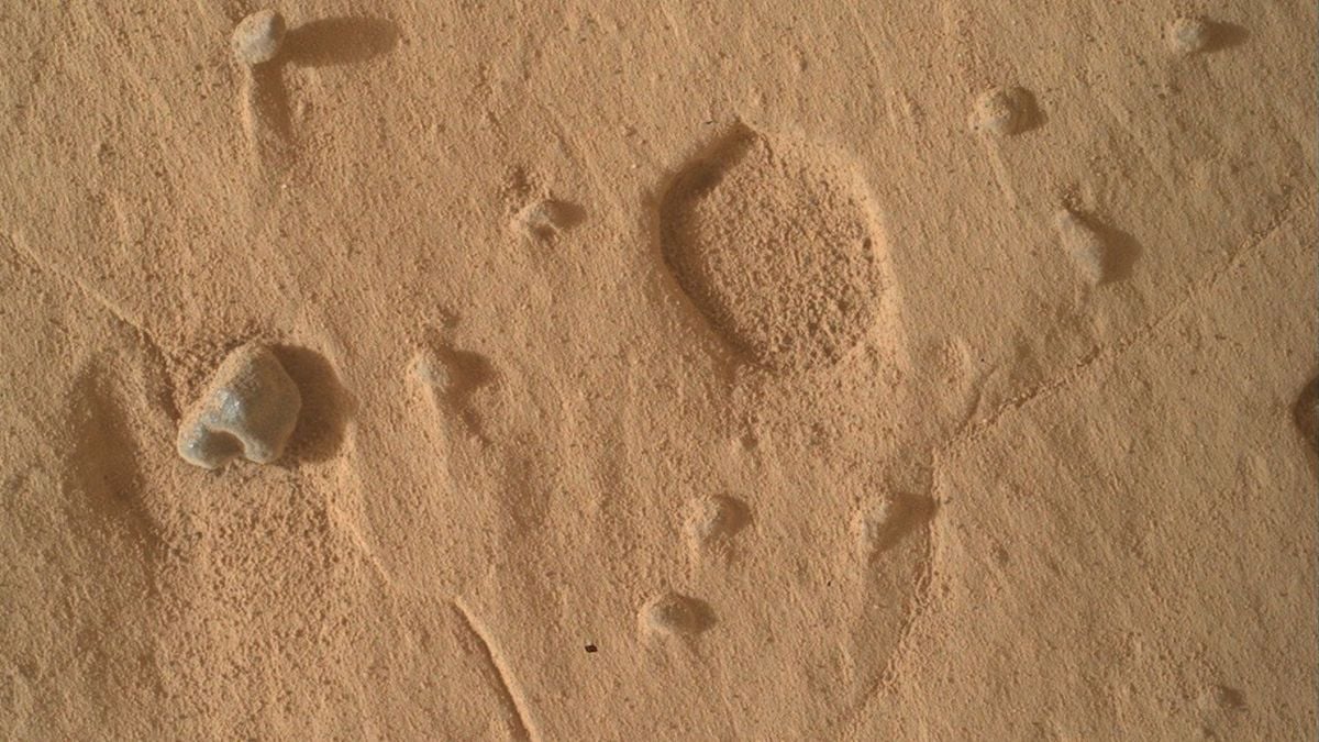 NASA Found Strange Holes on Mars. Scientists Aren't Sure What Made Them.