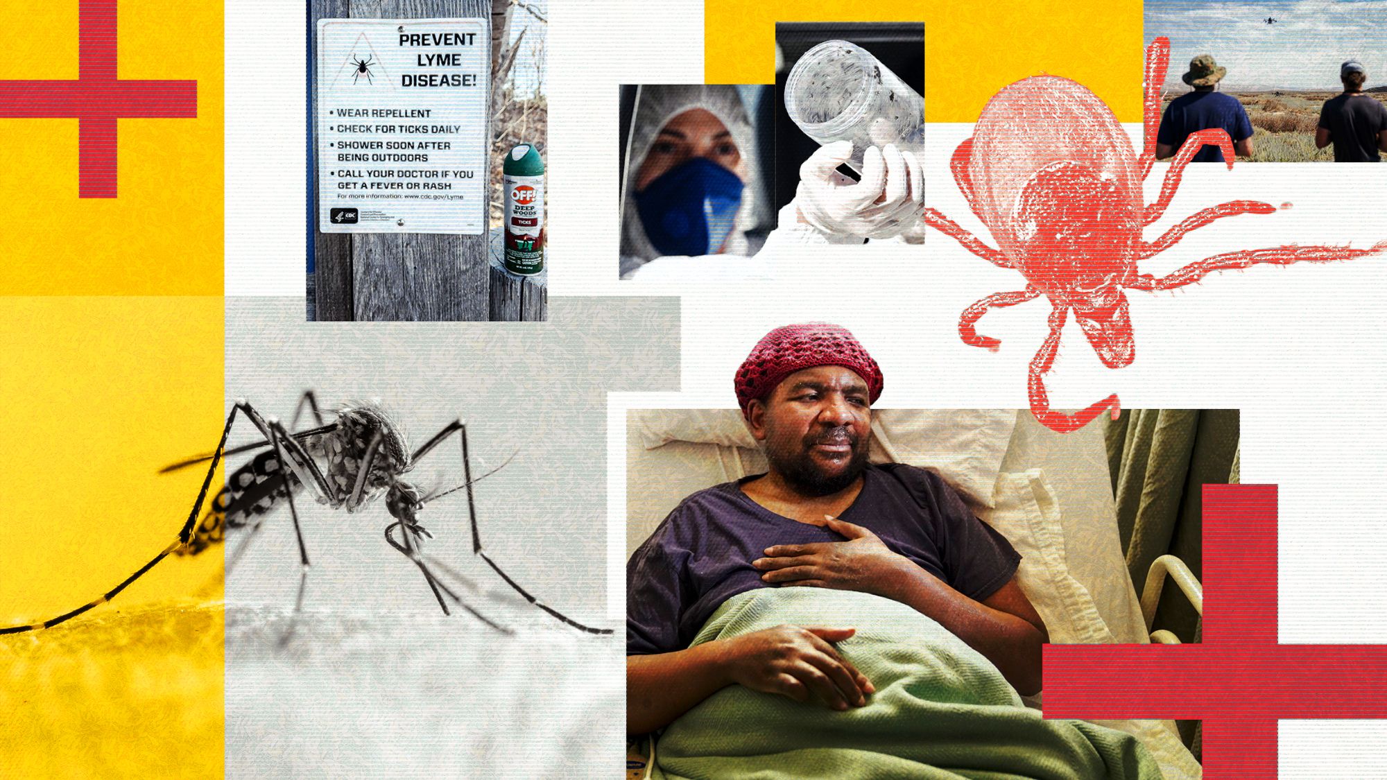 Infectious diseases will seed new ground as the planet warms — here's where they'll spread